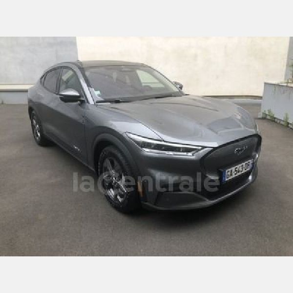 ./photos/W102603775_STANDARD_0.jpg?refresh=1770107367